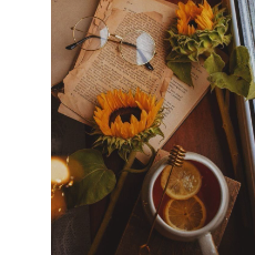 Aysha Hafeel-Freelancer in Hrodna,Sri Lanka