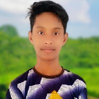 Md Hosain Md Hosain-Freelancer in জয়পুরহাট জেলা,Bangladesh