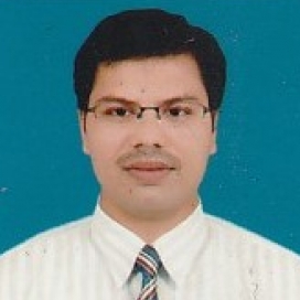 Mithilesh Raj-Freelancer in Patna,India