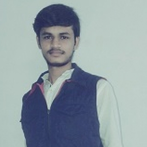 Amit Gaur-Freelancer in Udaipur,India