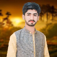 Umar Ali-Freelancer in Jhang,Pakistan
