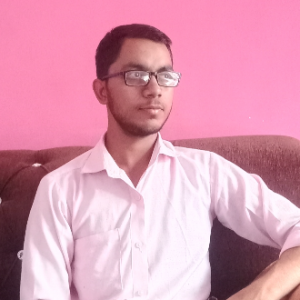 Vidyadhar Jangir-Freelancer in Sikar,India