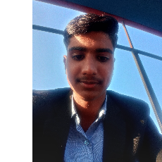 Naveen Kumawat-Freelancer in Jaipur,India