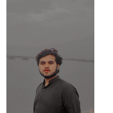 Shahzaib Ali-Freelancer in Karachi,Pakistan