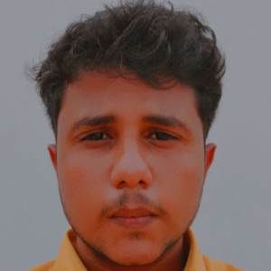 Mohammed Arab-Freelancer in Bhavnagar,India