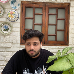 Yash Bagri-Freelancer in Delhi,India