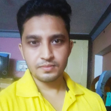 Pallab Karmakar-Freelancer in Burdwan westbengal,India