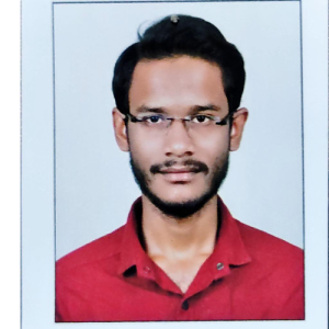 Faizi Moeed-Freelancer in Pune,India