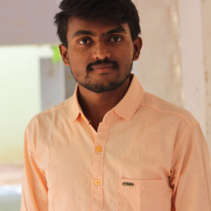 Rajesh Kumar-Freelancer in Anantapur,India