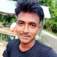 Prince Saidur-Freelancer in Meherpur District,Bangladesh