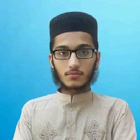 Muhammad Anas-Freelancer in Pirmahal,Pakistan