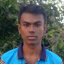 Subroto Mondal-Freelancer in Nawapara,Bangladesh
