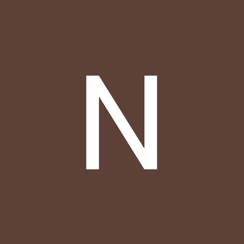 Truelancer profile picture for @nb