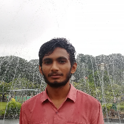 Muhammed Anas-Freelancer in Palakkad,India