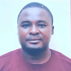 Dr. Olusegun James Eludire-Freelancer in Lagos,Nigeria