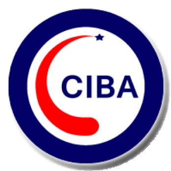 Ciba Consulting-Freelancer in Karachi,Pakistan