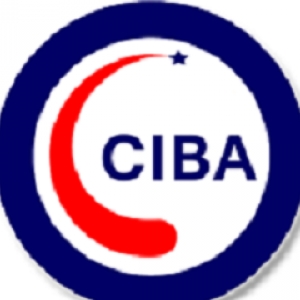 Ciba Consulting-Freelancer in Karachi,Pakistan