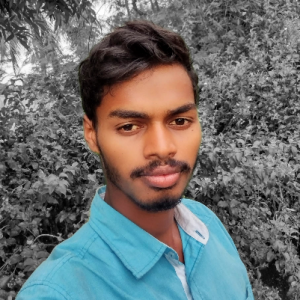 Srinivasan Mani-Freelancer in Chennai,India