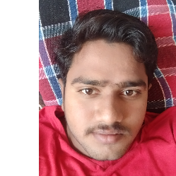Arif Shaik-Freelancer in Vijayawada,India