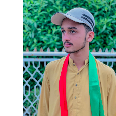Alamdar Gillani-Freelancer in Jhang,Pakistan