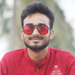 Md Sakibur Rahman-Freelancer in Pabna,Bangladesh