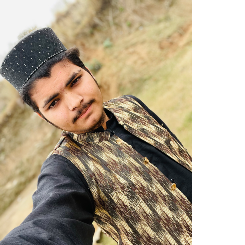 Hussnain Hafiz-Freelancer in Mirpur azad khasmir,Pakistan