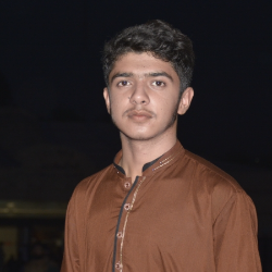 Muhammad Waqas-Freelancer in Rawalpindi,Pakistan