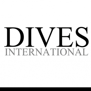 Truelancer profile picture for @dives