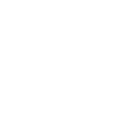 Shakil Mahmud-Freelancer in Dhaka,Bangladesh