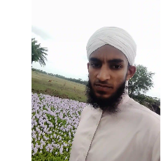 Md Rakibul-Freelancer in Bearish,Bangladesh