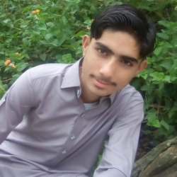 Haroon Rasheed-Freelancer in Peshawar,Pakistan