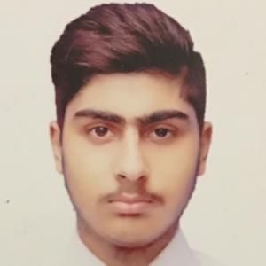 Abdullah Bin Umer-Freelancer in Lahore,Pakistan