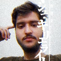 Hassan Mehboob-Freelancer in Gujranwala,Pakistan