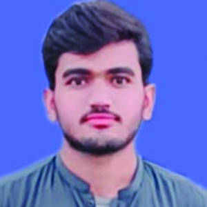 Muhammad Awais Atta-Freelancer in dera ghazi khan,Pakistan