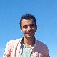 Mohammed Salem-Freelancer in Zefta,Egypt