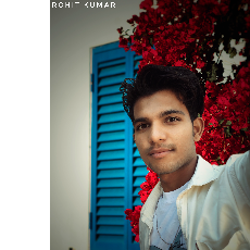 Rohit Kumar-Freelancer in Sri Ganganagar,India