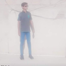 Muhammad Shazil Iqbal-Freelancer in Karachi,Pakistan