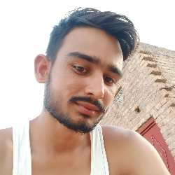 Arvind Bishnoi-Freelancer in Bikaner,India