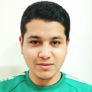 Ahmed Elnaggar-Freelancer in Tanta,Egypt