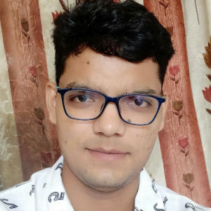 Sanjeev Kumar Yadav-Freelancer in Delhi,India