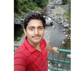 Nikhil Chauhan-Freelancer in Shimla,India