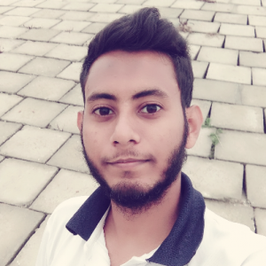 Mehedi Hasan-Freelancer in Rajshahi,Bangladesh