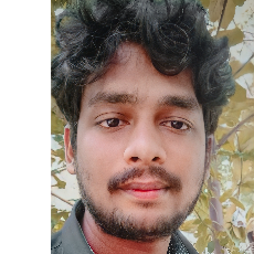 Rajesh Nadipudi-Freelancer in Bhimavaram,India