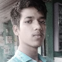 Ajijul Hoque-Freelancer in Baksa,India
