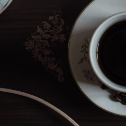 Taara Tulip-Freelancer in colombo,Sri Lanka