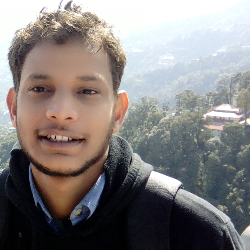 Pankaj Mandawat-Freelancer in Jaipur,India