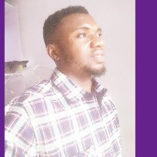 Nwamgbebu Nelson-Freelancer in Lagos,Nigeria