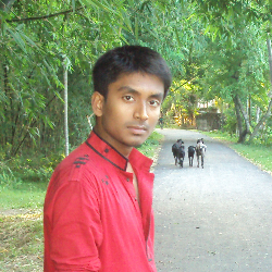 Anal Dafader-Freelancer in Dhaka,Bangladesh