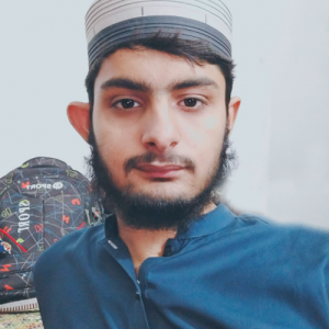 Ibneasim Zakria-Freelancer in Kahror Pakka,Pakistan