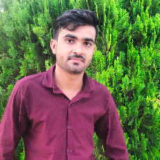 Abhay Gautam-Freelancer in Jabalpur,India